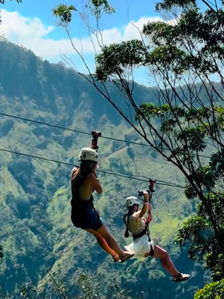 Zip Lining